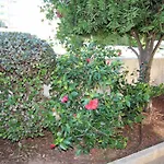 T1 Da Rocha Clube Mar Apartament